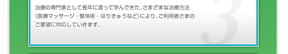 治療の専門家として長年に渡って学んできた、さまざまな治療方法(医療マッサージ・整体術・はりきゅうなど)により、ご利用者さまのご要望に対応していきます。